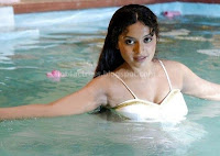 Akshaya, actres, hot, navel, photos