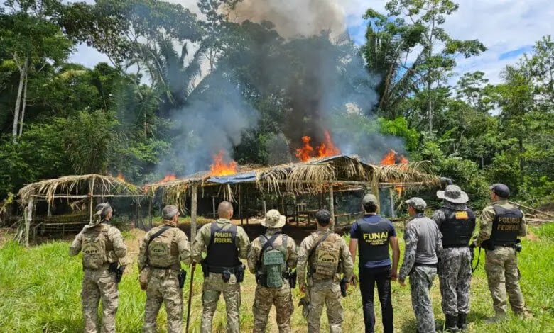 Operação da PF e Funai combate invasão de Terra Indígena em RO