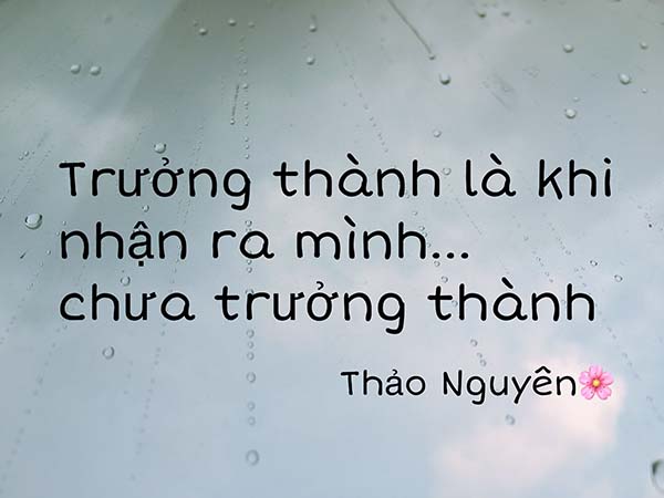 stt-truong-thanh