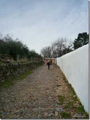 P1080291