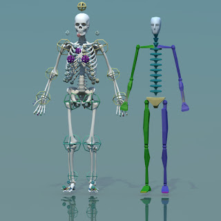 3d model human skeleton combine with biped