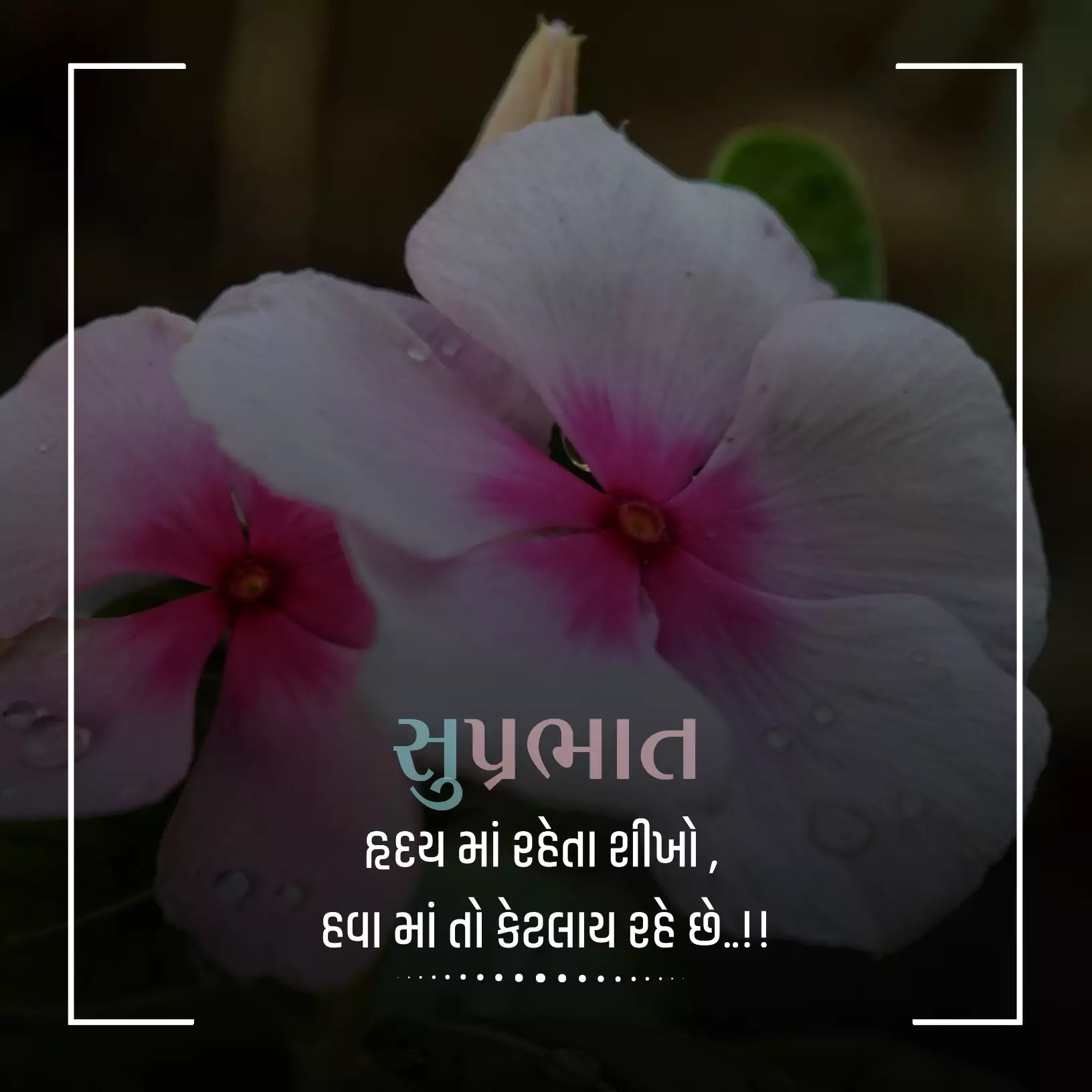 Gujarati Suvichar Good Morning