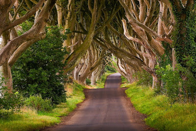 The Dark Hedges, Inggris