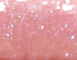 LimoLightsPureColorLoveShineLiquidLipEsteeLauder2