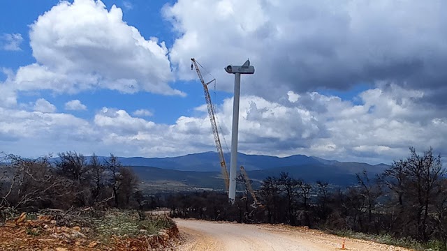 Πέρυσι κάηκε το δάσος, φέτος φύτρωσαν» ανεμογεννήτριες