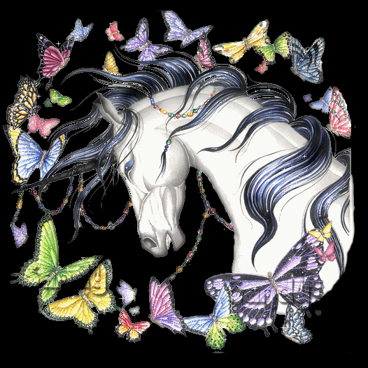 caballos (19)