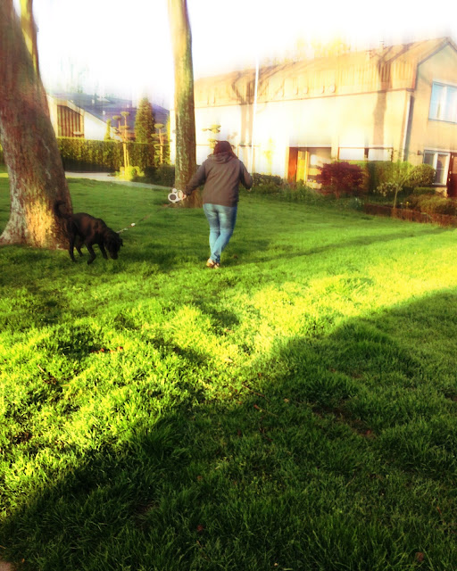 Vrouw trekt hond voort, foto Robert van der Kroft