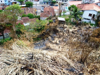 Queimadas nas Encostas de Ilhéus é um Painel do Fórum Ambiental do Sul da Bahia