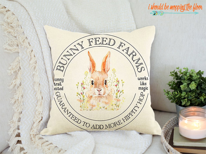 Cute Spring Pillows