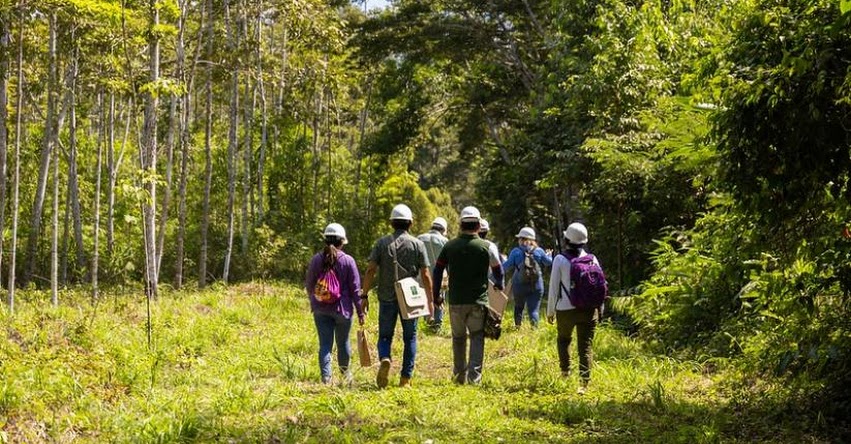 OSINFOR presentará aportes tecnológicos para el sector forestal en la ExpoAmazónica 2022