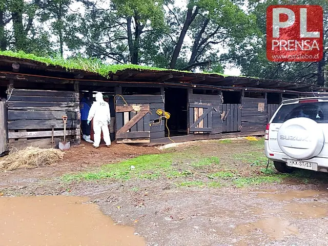 Brigada de Homicidios de la PDI Osorno