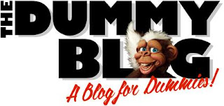 Blog Dummies