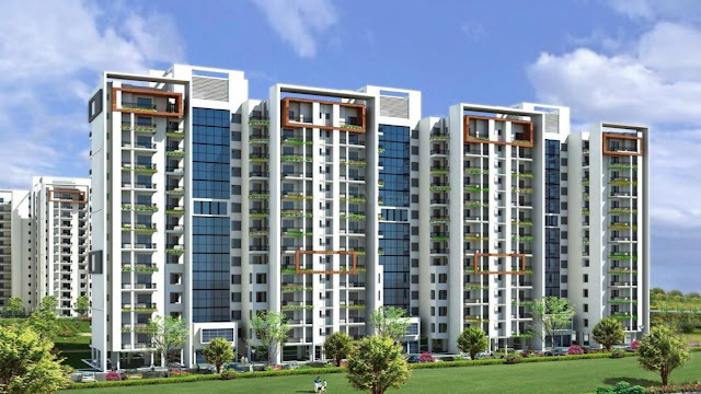 Motia Group in Chandigarh