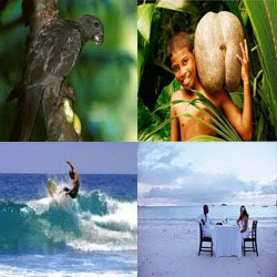 Praslin Parrots and Female Modelled Fruits