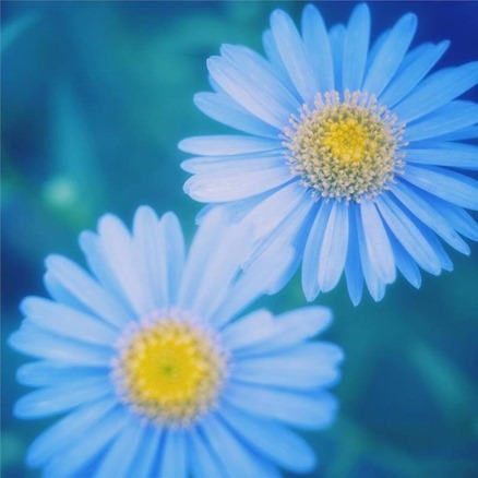 clip_image005