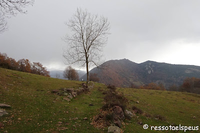 Ruta circular a serra Cavallera des de Camprodon