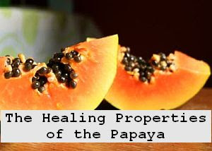 https://foreverhealthy.blogspot.com/2012/04/healing-properties-of-papaya-fruit-of.html#more