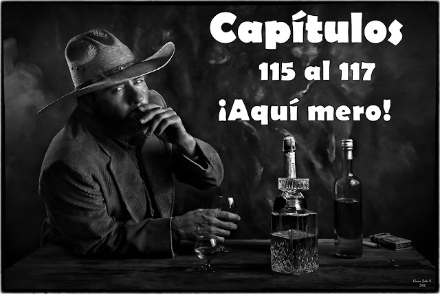 Capítulos 115 al 117 de Porfirio Cadena