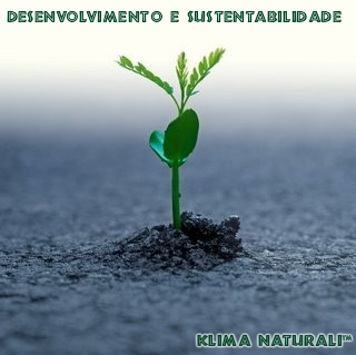 Desenvolvimento e Sustentabilidade