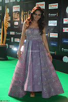 Parul Yadav in Stunning Purple Sleeveless Transparent Gown at IIFA Utsavam Awards 2017  Day 2  Exclusive 02.JPG