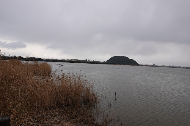 鳥取県米子市彦名新田 米子水鳥公園 水鳥観察広場からの眺望 粟嶋神社