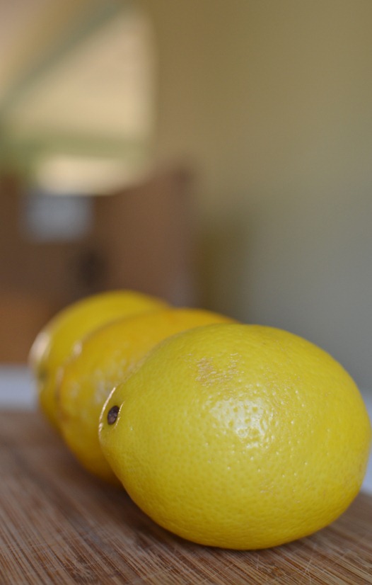 lemons  amy renea a anestforallseasons