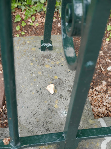 Vrijgelaten Happy Stone, Utrecht