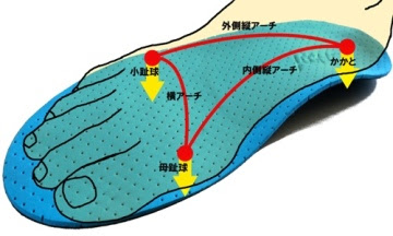 足裏3点アーチが重要