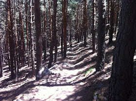 Ruta en bici por la Hoya de San Blas, julio 2012