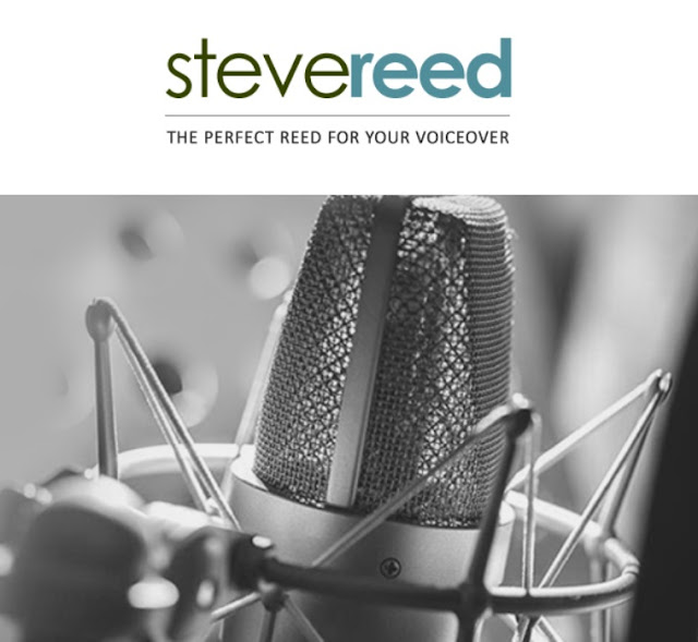 Steve Reed Voiceover Artist