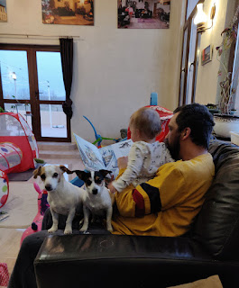 Reading to Rosie, with puppies in attendance