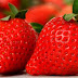 Πότε άρχισαν να τρώνε φράουλες οι Έλληνες; Είναι στ’ αλήθεια φρούτο;