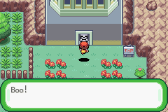 pokemon clover screenshot 5