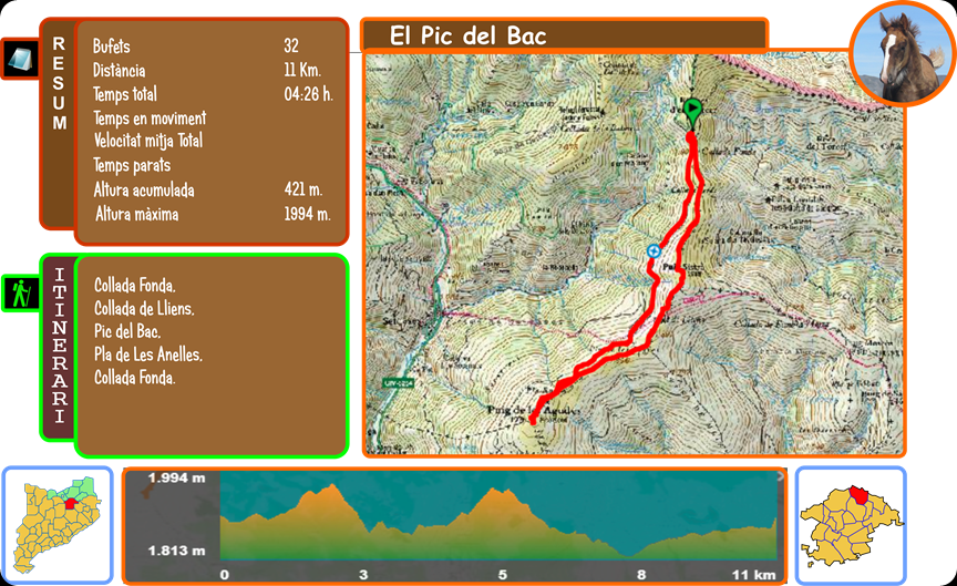 trac nou2