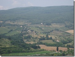 hills of tuscuny