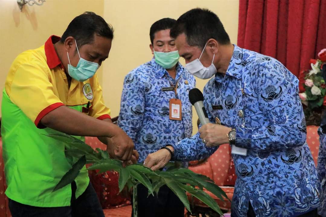 Plt Bupati Kudus Dukung Petani Umbi Porang