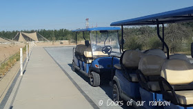 WASIT WETLAND CENTRE SHARJAH (UAE) - An amazing winter break trip for kids.@http://colorsofourrainbow.blogspot.ae/