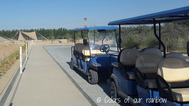 WASIT WETLAND CENTRE SHARJAH (UAE) - An amazing winter break trip for kids.@http://colorsofourrainbow.blogspot.ae/