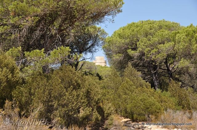 El Jarillo - Torre de Meca