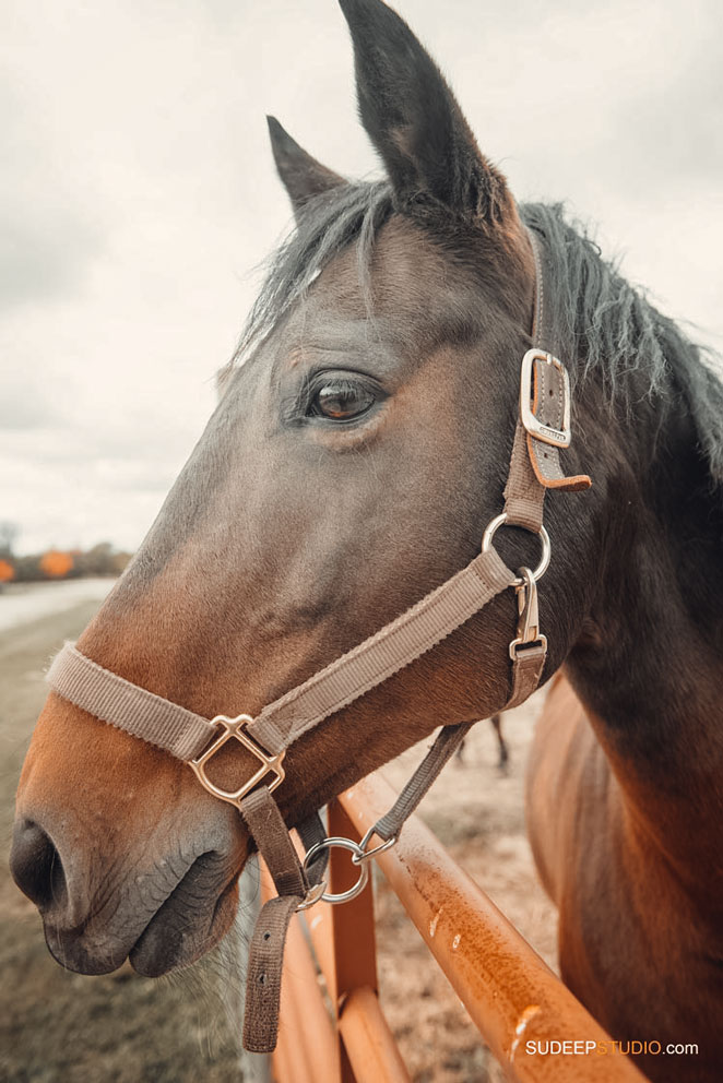 Vintage Barn Wedding Photography in Farm with horses by SudeepStudio.com Dexter Ann Arbor Wedding Photographer