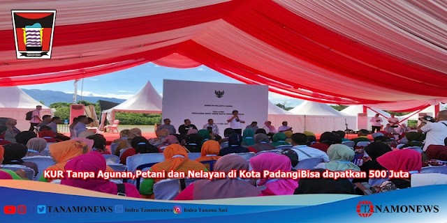 KUR Tanpa Agunan,Petani dan Nelayan di Kota Padang bisa dapatkan 500 Juta