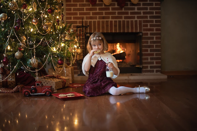 Christmas Minis Mini Session DeKalb Sycamore Rockford IL