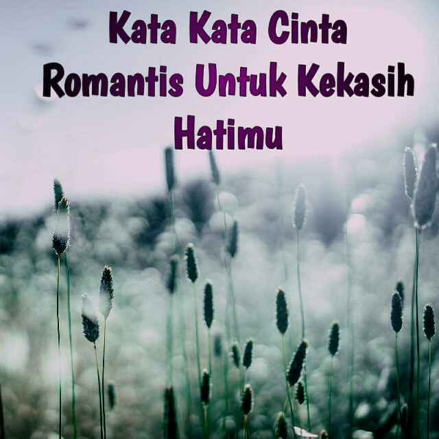 kata kata cinta romantis untuk kekasih terbaru