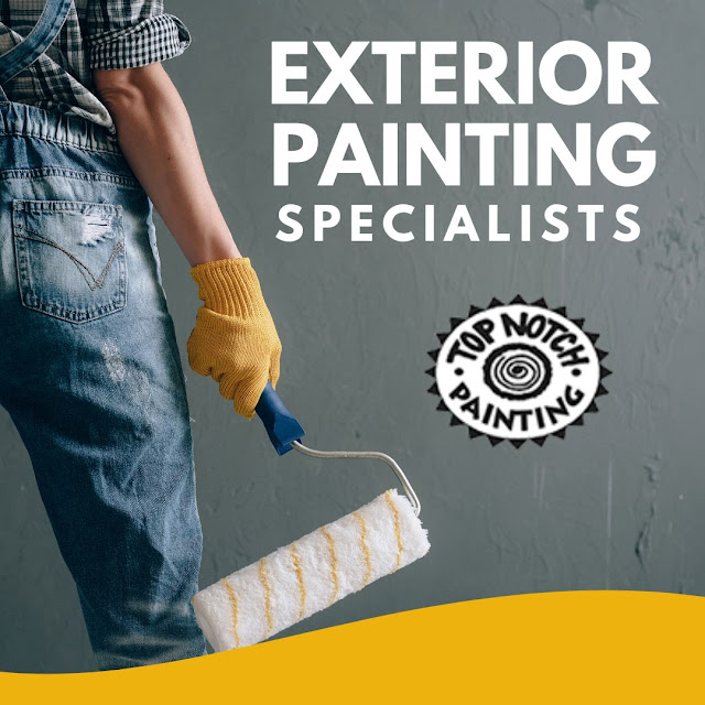 Expert Painters