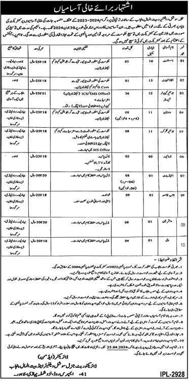 Social Welfare and Bait-Ul-Maal Punjab Jobs 2024 in Pakistan