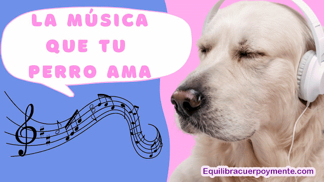 Qué tipo de música le gusta a los perros