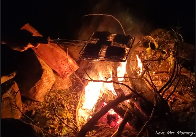 Lake Placid Adirondack Hotel, Placid Bay Hotel, campfire Smores