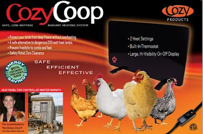  proficient chicken keepers who dear their pet chickens unintentionally kill them Whether to Heat the Chicken Coop inwards Cold Weather