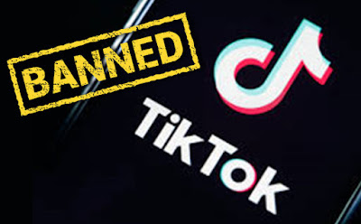 Tiktok Banned In India