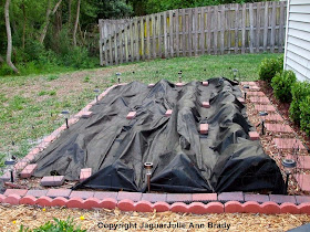 Weed Barrier Cloth From Second Roll Covering Sunflower Seedlings ~ JaguarJulie